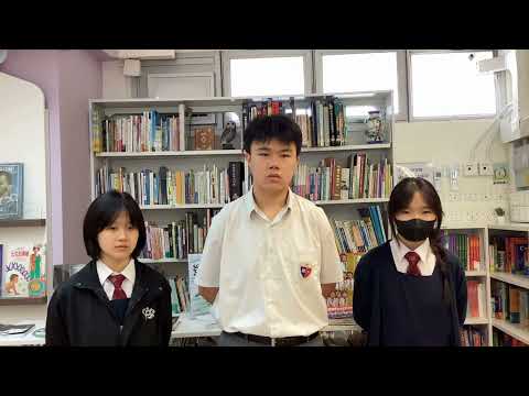 video-image