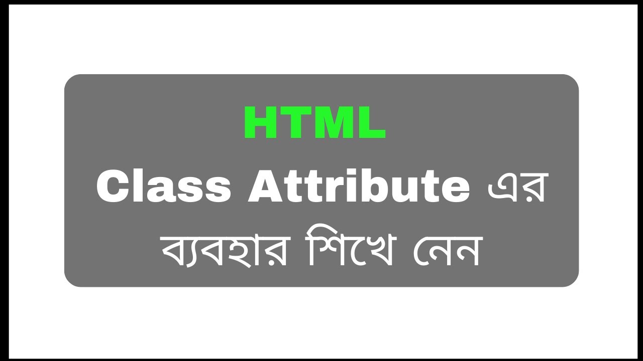 HTML Class Attribute | HTML Bangla Tutorial