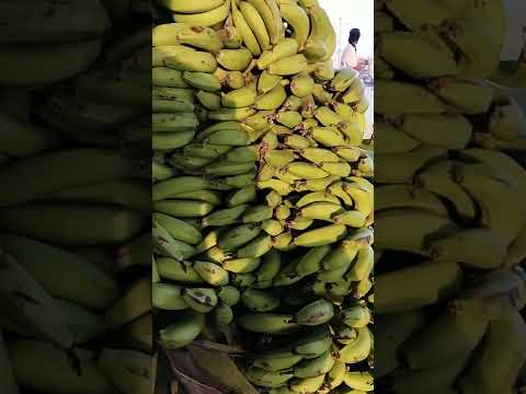 Banana 🍌 loading and packing #banana #food #shorts trending hashtags