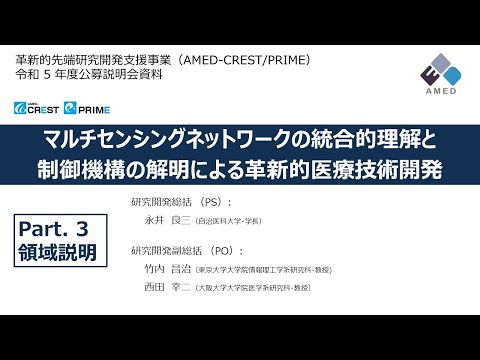 ツアモツ諸島の旗。