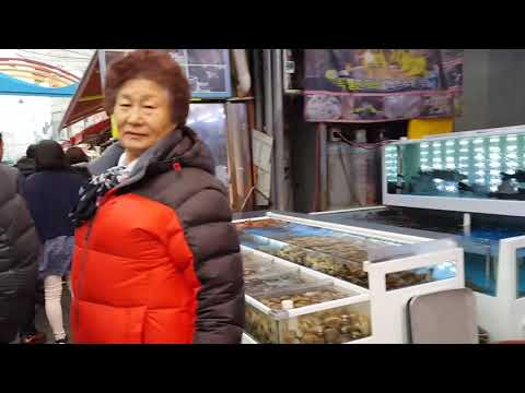 17 0301 소래스케치