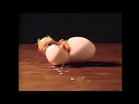 Happy Birthday Rosemary