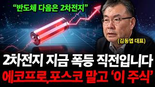 "2차전지 지금 폭등 직전입니다" 에코프로, 포스코 말고 '이주식' ( 김동엽 대표 )