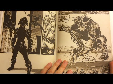 Teenage Mutant Ninja Turtles Return to New York, TMNT Artisan Edition, Outlaw Inspiration!