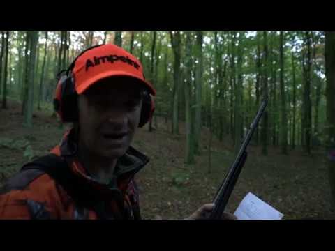 Swedish Big Game driven hunt