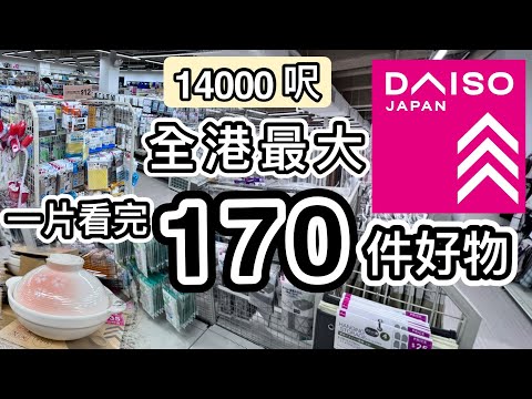 【新開張】全港最大Daiso！一片看完170件好物/神器👊1.4萬呎😱 破紀錄行足３小時😵北角店🥳加插開箱片😍廚房家品👊收納好物👊文具👊野餐露營｜$12店｜大創百貨｜行街｜香港好去處｜Daiso必買
