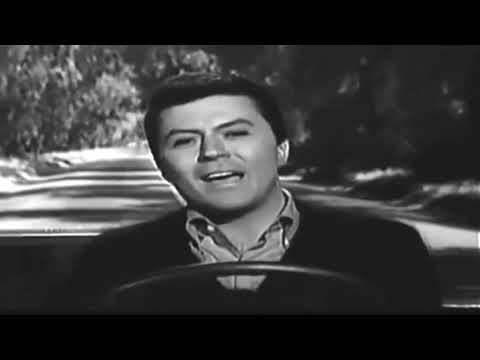 Goodbye Cruel World - James Darren
