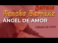 Pancho Barraza - Ángel de Amor (Audio Oficial)