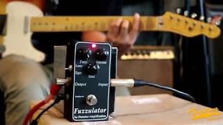 Demeter Amplification FUZ-1 Fuzzulator - What To Know & Where To