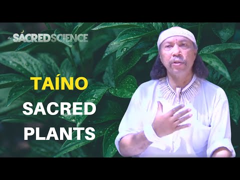 Taíno Spiritual Wisdom, Shamanic Practices and Sacred Plant Medicine | Miguel Sobaoko Koromo Sague