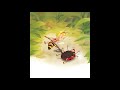 Maya The Bee L Audio Story L AList L Ready Set