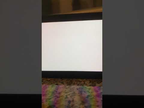 L’INCONTRO CON IL POKEMON LEGGENDARIO! POKEMON SPADA E SCUDO ANTEPRIMA!