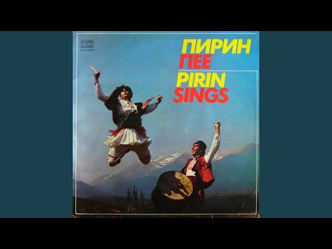 Поле широко