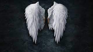 Kyle Neal   Golden Shore