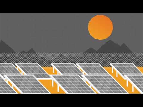 Vidico x Raptor Maps — App Animation