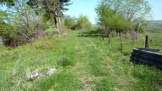 preview picture of video 'Cu scuterul pe traseul mocăniţei - With the moped on the narrow-gauge trackbed (1)'