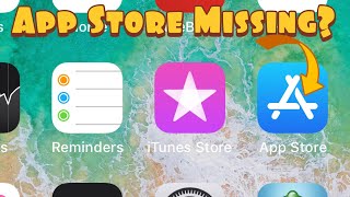 iPhone X/XS/XR: Apple App Store is Missing? FIXED!!