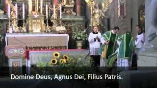 GLORIA IN EXCELSIS DEO !!! LATIN