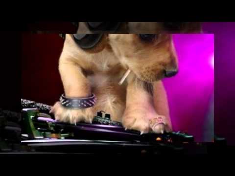 Duo Italiano Vs Remakeit Feat. Jenny D -  Il Mio Giorno Migliore