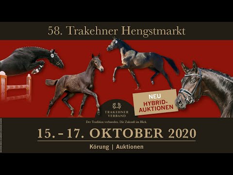 Trakehner Hengstmarkt 2020