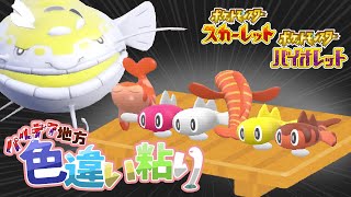 【ポケモンSV】寿司6種を並べたい！シャリタツ＆ヘイラッシャの色粘り！【ゆっくり実況】