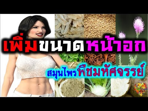 สาวเซ็กซี่กับหน้าอกเล็ก หน้าอกพลาสติกในราคา