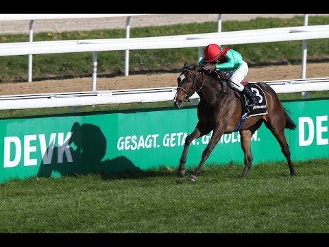 Köln: Karin Baronin von Ullmann   Schwarzgold Rennen (Gr III) 2019 - Sigerin: Axana