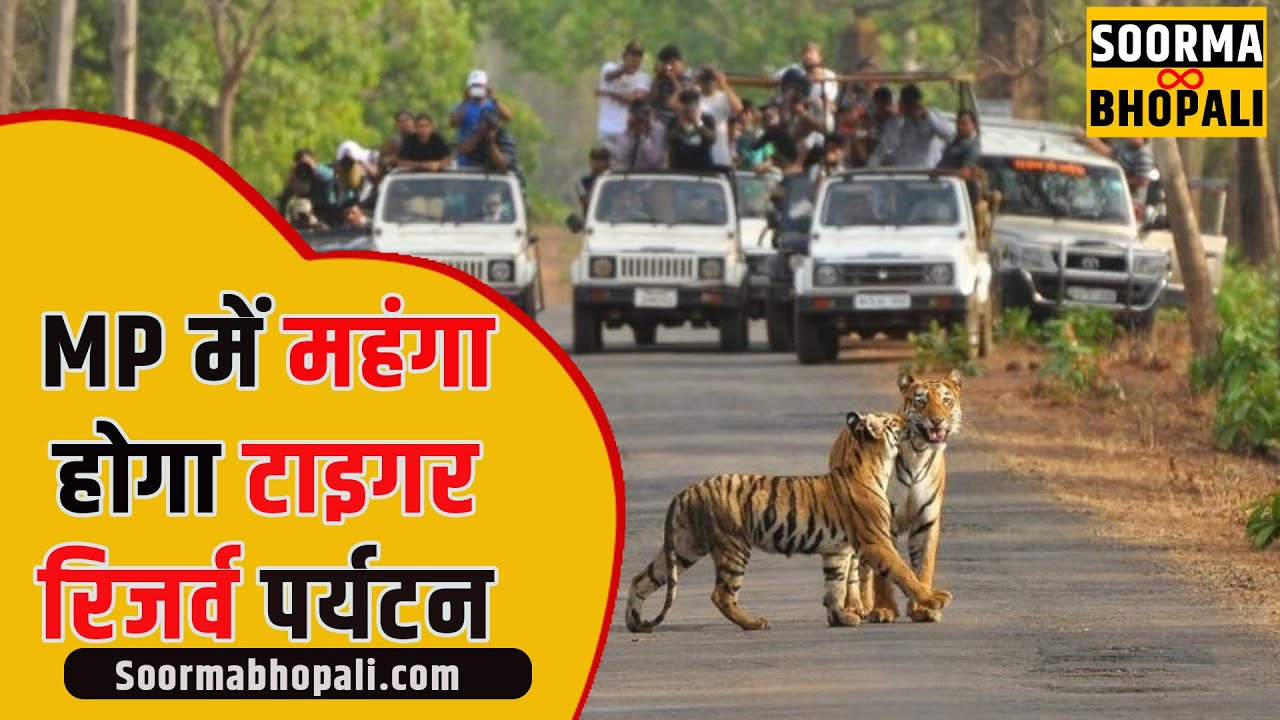 मध्यप्रदेश में महंगा होगा टाइगर रिजर्व पर्यटन