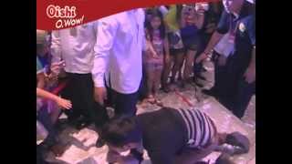 &quot;Susundan&quot; ka namin Calla Lily!