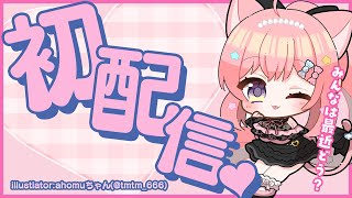 【初配信】