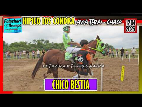 CHICO BESTIA Avia Terai CH  12 04 2026