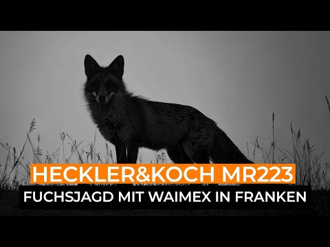 Fuchsjagd mit Vorsatzgerät von EAW mit der Heckler & Koch MR223 in Franken