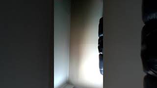 Cover of Dancing With Demons by Palisades(Seth Clark)