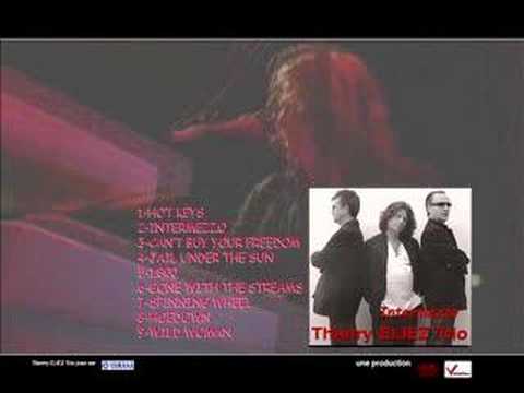 thierry eliez trio live