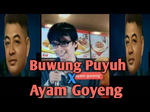 Buwung Puyuh X Ayam Goyeng Kocak Lucunya