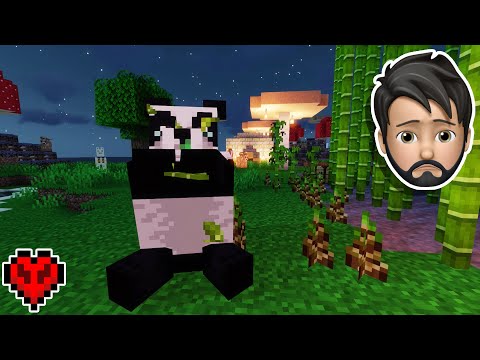 Thinknoodles - I Saved A SICK PANDA in Minecraft Hardcore!!