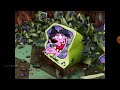 Courage The Cowardly Dog Courage Vs Le Quack TV Fight