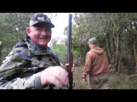 Blue Duiker Hunt  - Somerby Safaris