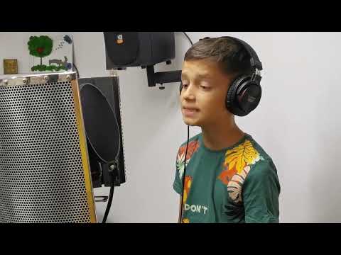 GABI RUSU - Povestea Noastra (Cover Lucian Colareza)