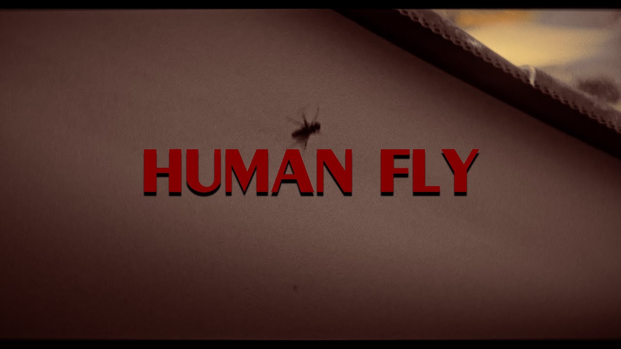 HUMAN FLY