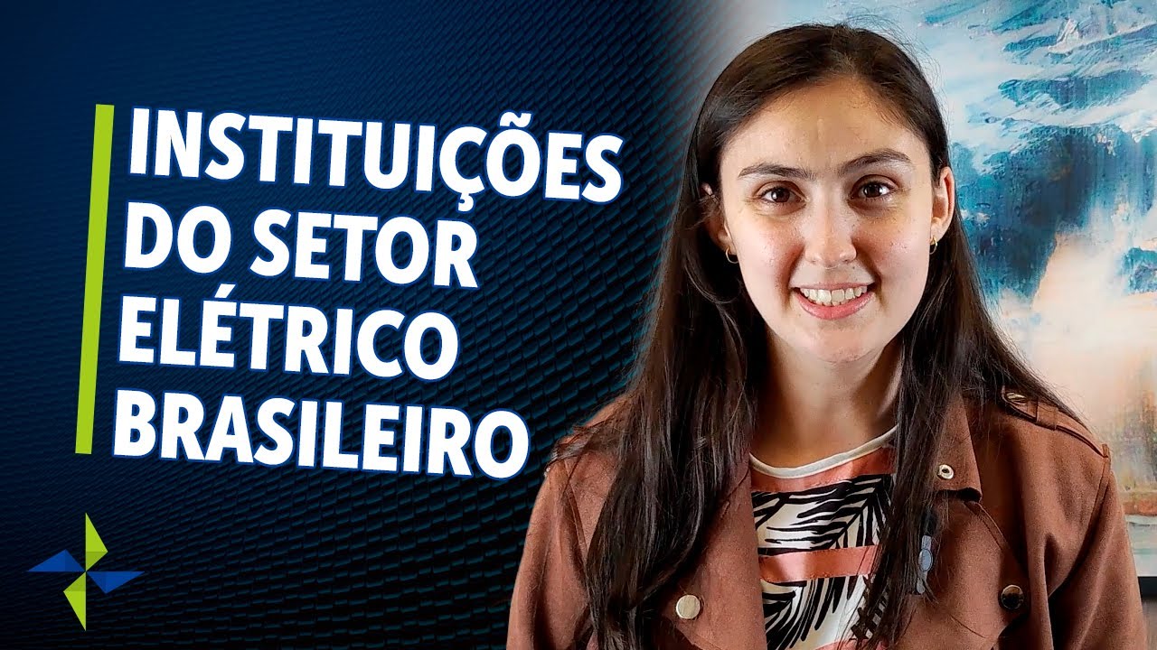 Como funcionam as instituições do setor elétrico brasileiro? ⚡
