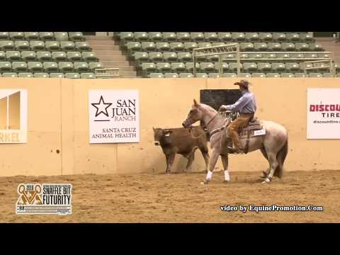 White Knight Time ridden by Cayley R. Wilson  - 2016 NRCHA SBF (Open Hackamore Cow Work)
