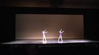Vienna Duet