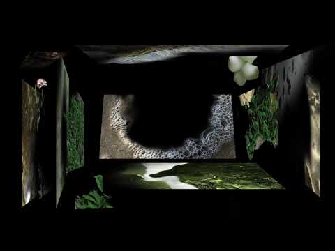 yxxoutube