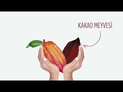 Bitterin Ustasından Eti Karam Flava