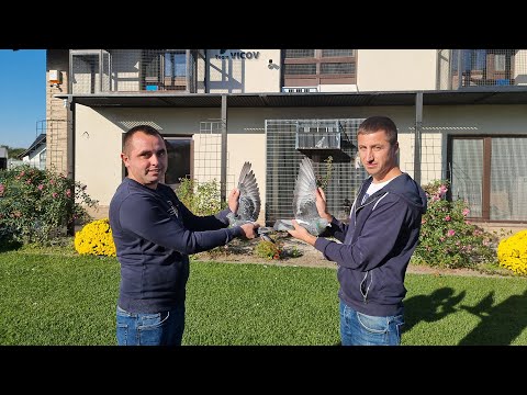 Împerechere comună TEAM VICOV + DEDIU DANIEL