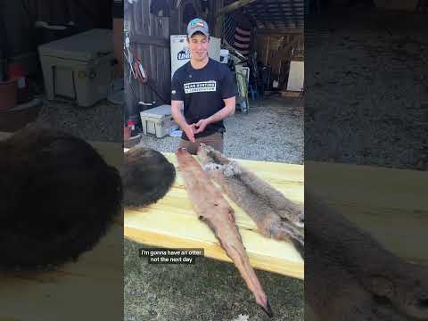 Our three favorite pelts from the 23-24 fur season