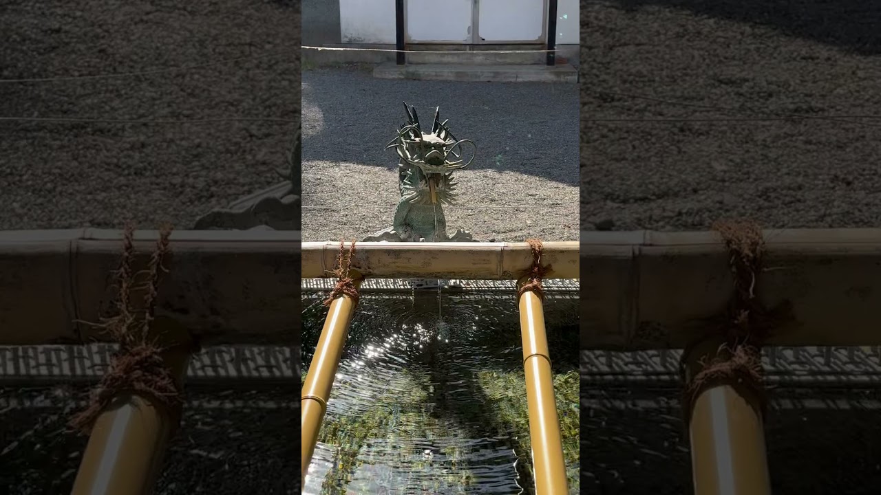 YouTube Short thumbnail