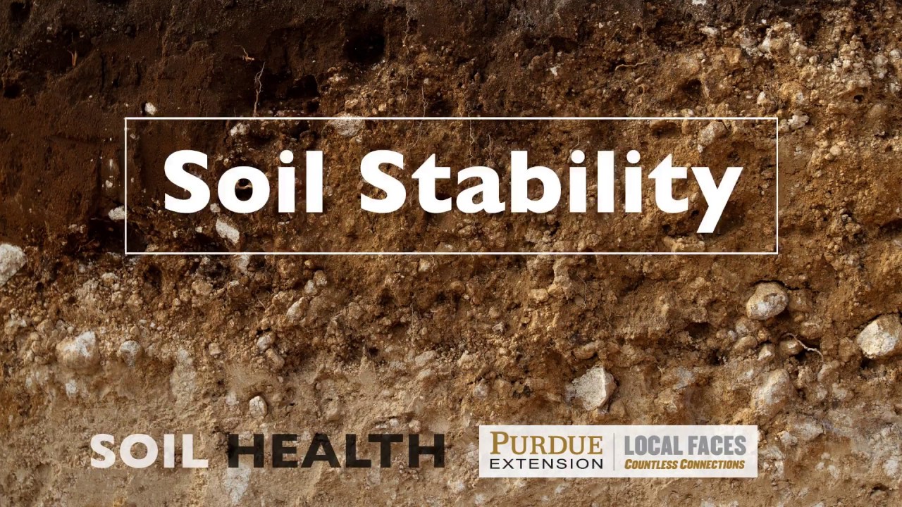 Soil Basics: Soil Stability