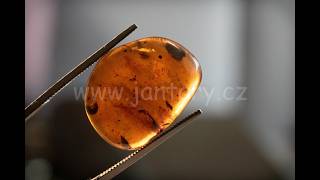 Druhohorní jantar z Myanmaru BJ-15
